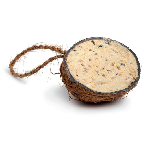GM Coconut Feeder Single