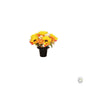 Grave Pot - Yellow Autumnal Flower 25cm [optimised-1040-watermarked]