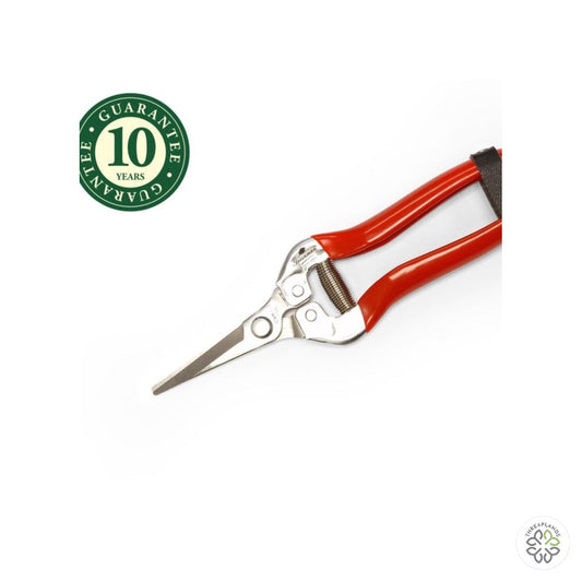 Greenman 7 1/2″ Floral Straight Pruner - Threaplands [optimised-1040-watermarked]