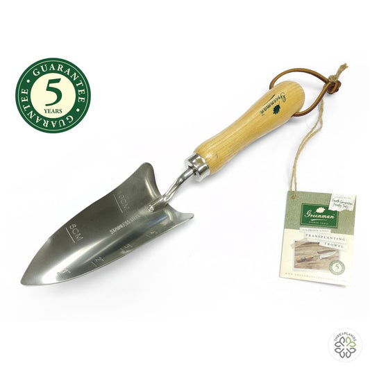 Greenman Stainless Steel Transplanting Trowel - Threaplands [optimised-1040-watermarked]