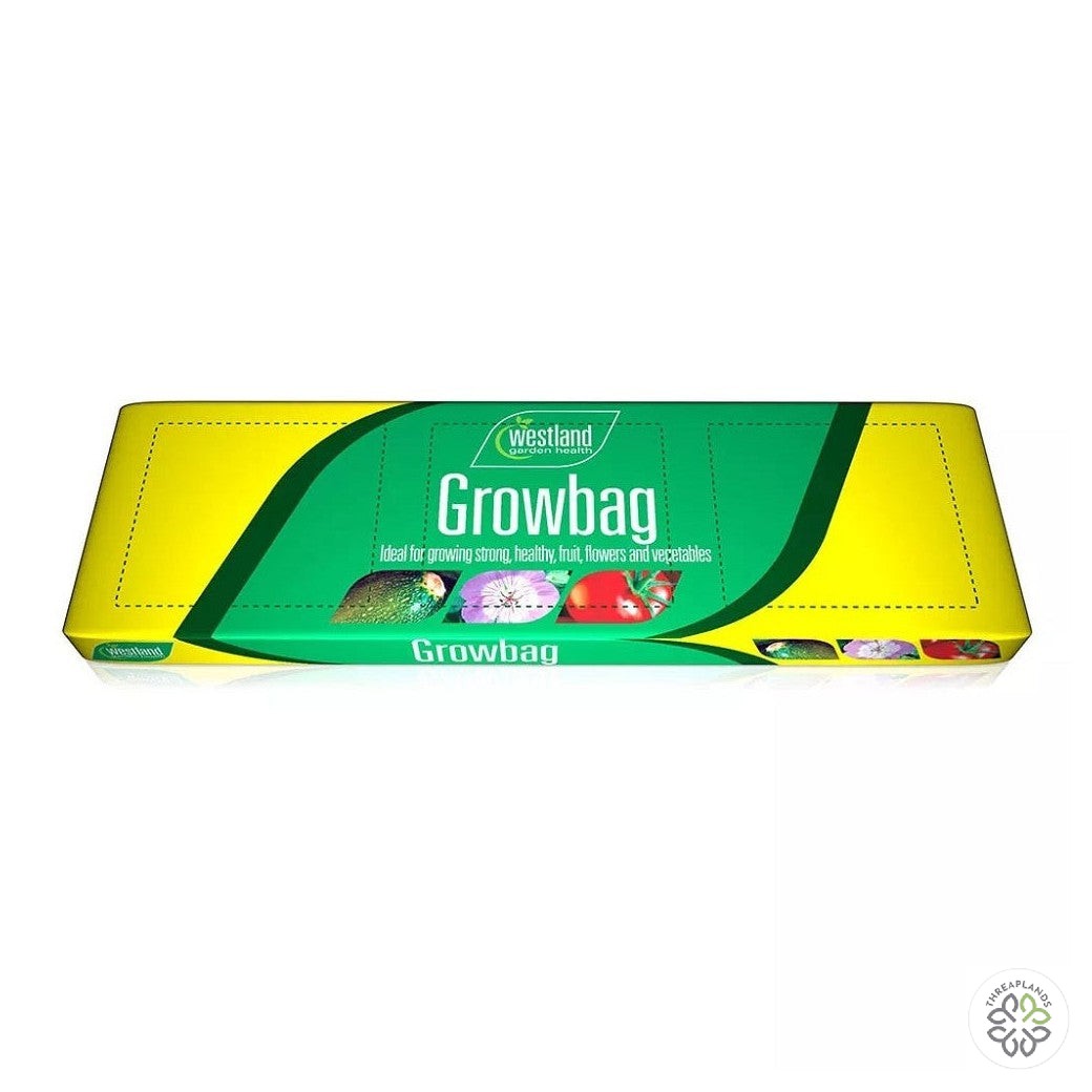 Growbag from Westland - Threaplands [optimised] [optimised-1040-watermarked]