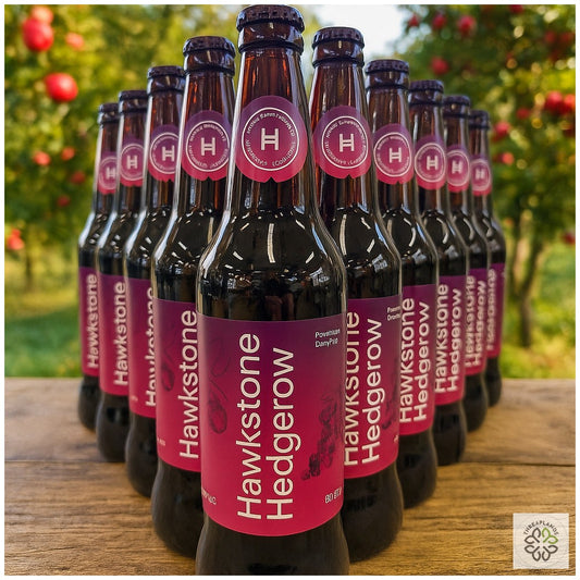 Hawkstone Hedgerow Cider (12 Pack) [optimised-1040-watermarked]