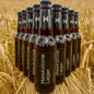 Hawkstone Premium Lager (12 Pack)