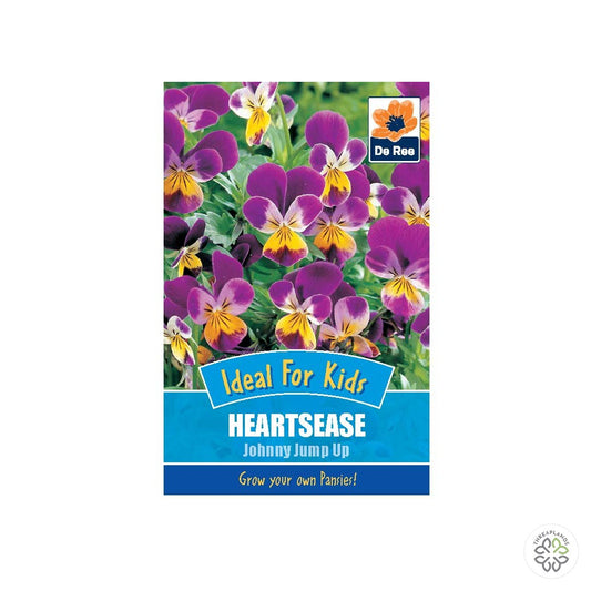 Heartsease Johnny Jump Up - Threaplands [optimised-1040-watermarked]