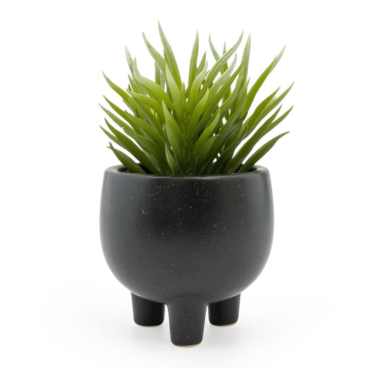 Ice Plant Succulent In Ceramic Pot