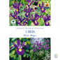 Iris Blue Magic - Threaplands [optimised-1040-watermarked]