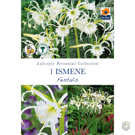 Ismene Festalis - Threaplands [optimised-1040-watermarked]