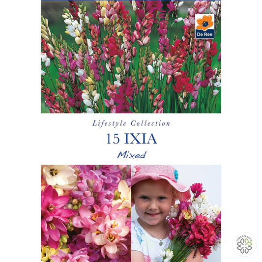 Ixia Mixed - Threaplands [optimised-1040-watermarked]