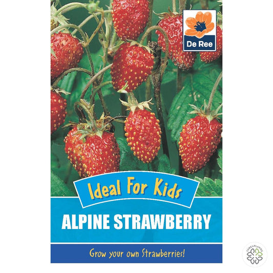 Kids - Alpine Strawberry - Threaplands [optimised-1040-watermarked]