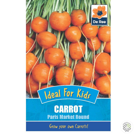 Kids - Carrot Paris Market Round - Threaplands [optimised-1040-watermarked]