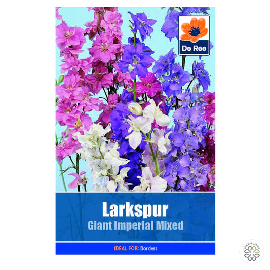 Larkspur Giant Imperial Mix - Threaplands [optimised-1040-watermarked]