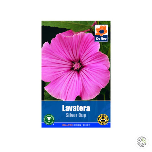 Lavetera Silver Cup - Threaplands [optimised-1040-watermarked]
