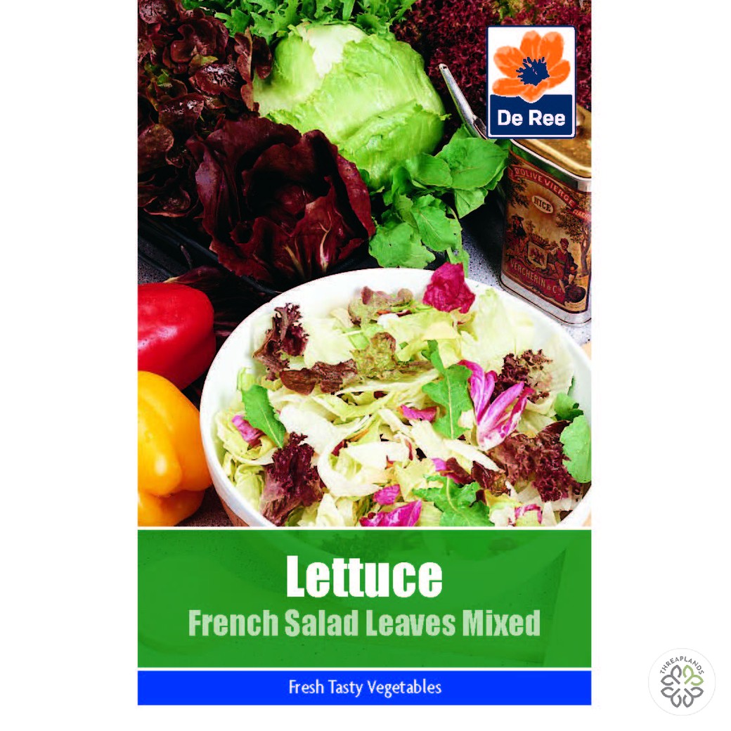 Lettuce French Salad Leaves Mixed - Threaplands [optimised-1040-watermarked]