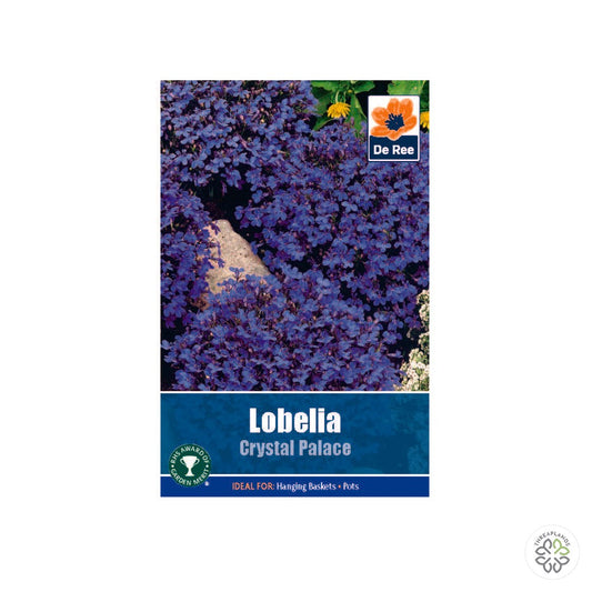 Lobelia Crystal Palace - Threaplands [optimised-1040-watermarked]