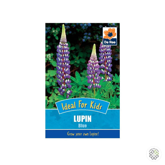 Lupin Blue - Threaplands [optimised-1040-watermarked]