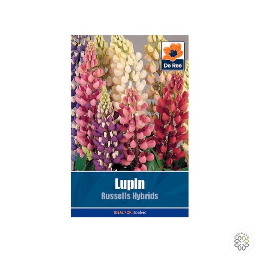 Lupin Russells - Threaplands [optimised-1040-watermarked]