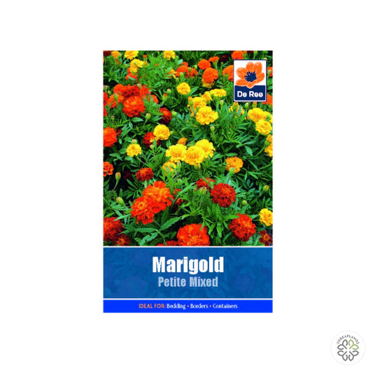 Marigold Petite Mixed - Threaplands [optimised-1040-watermarked]