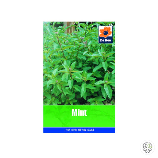 Mint - Threaplands [optimised-1040-watermarked]