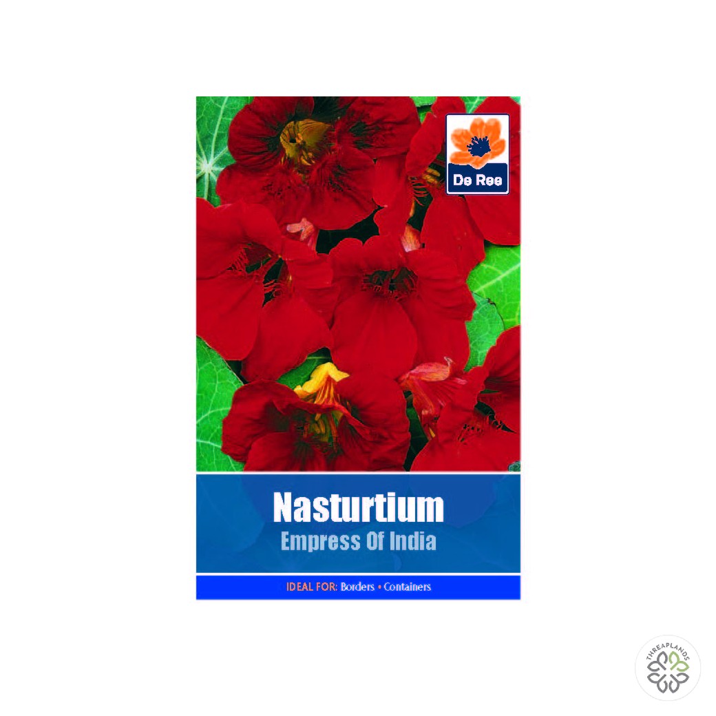 Nasturtium Empress of India - Threaplands [optimised-1040-watermarked]