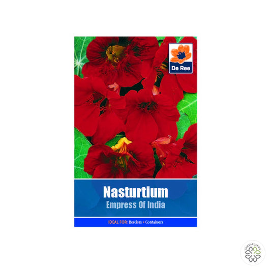 Nasturtium Empress of India - Threaplands [optimised-1040-watermarked]