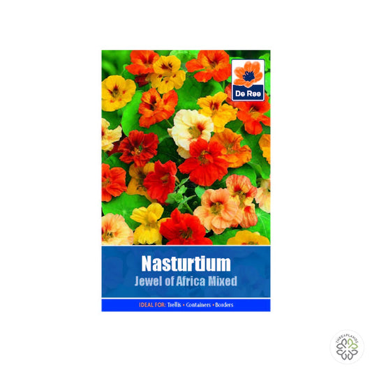 Nasturtium Jewel of Africa Mixed - Threaplands [optimised-1040-watermarked]