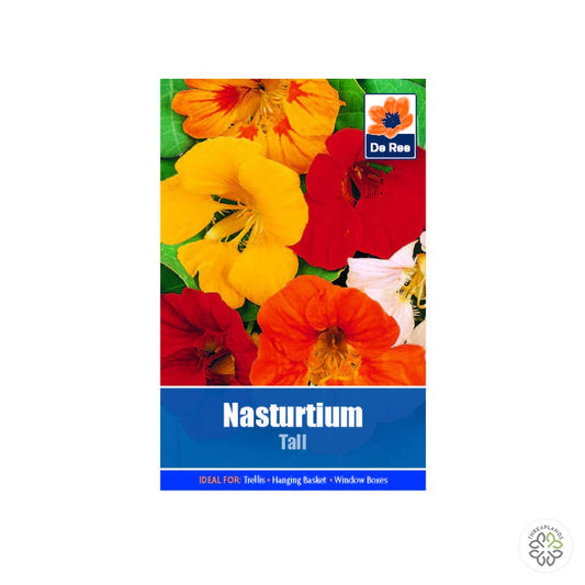 Nasturtium Tall - Threaplands [optimised-1040-watermarked]