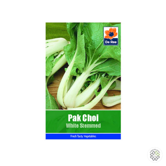 Pak Choi White Stemmed - Threaplands [optimised-1040-watermarked]