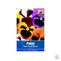Pansy Swiss Giant - Threaplands [optimised-1040-watermarked]