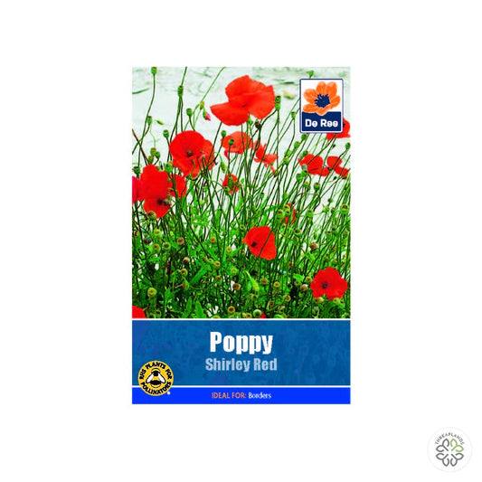 Poppy Shirley Red - Threaplands [optimised-1040-watermarked]