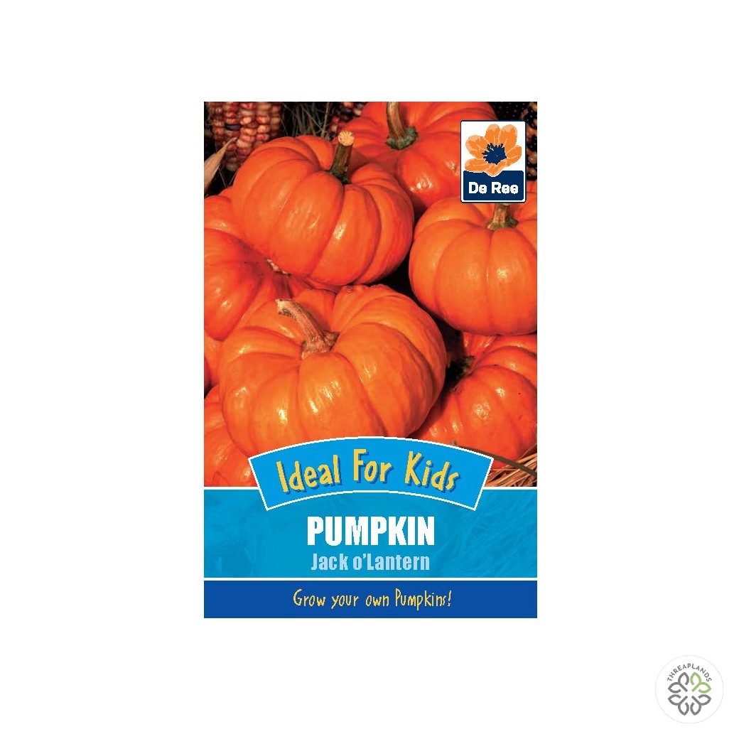 Pumpkin Jack O'Lantern - Threaplands [optimised-1040-watermarked]