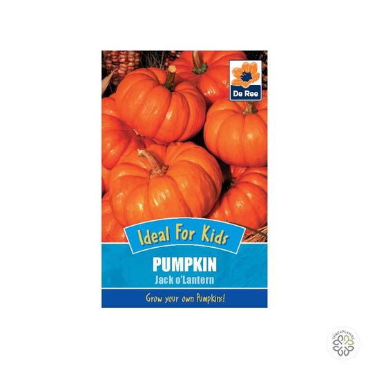Pumpkin Jack O'Lantern - Threaplands [optimised-1040-watermarked]