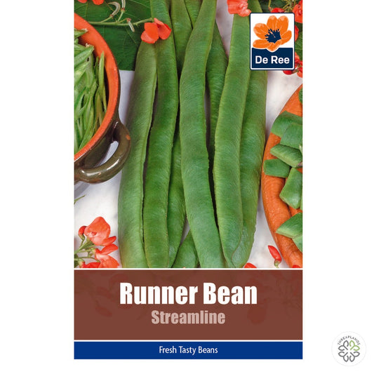 Runner Bean Streamline - Threaplands [optimised-1040-watermarked]