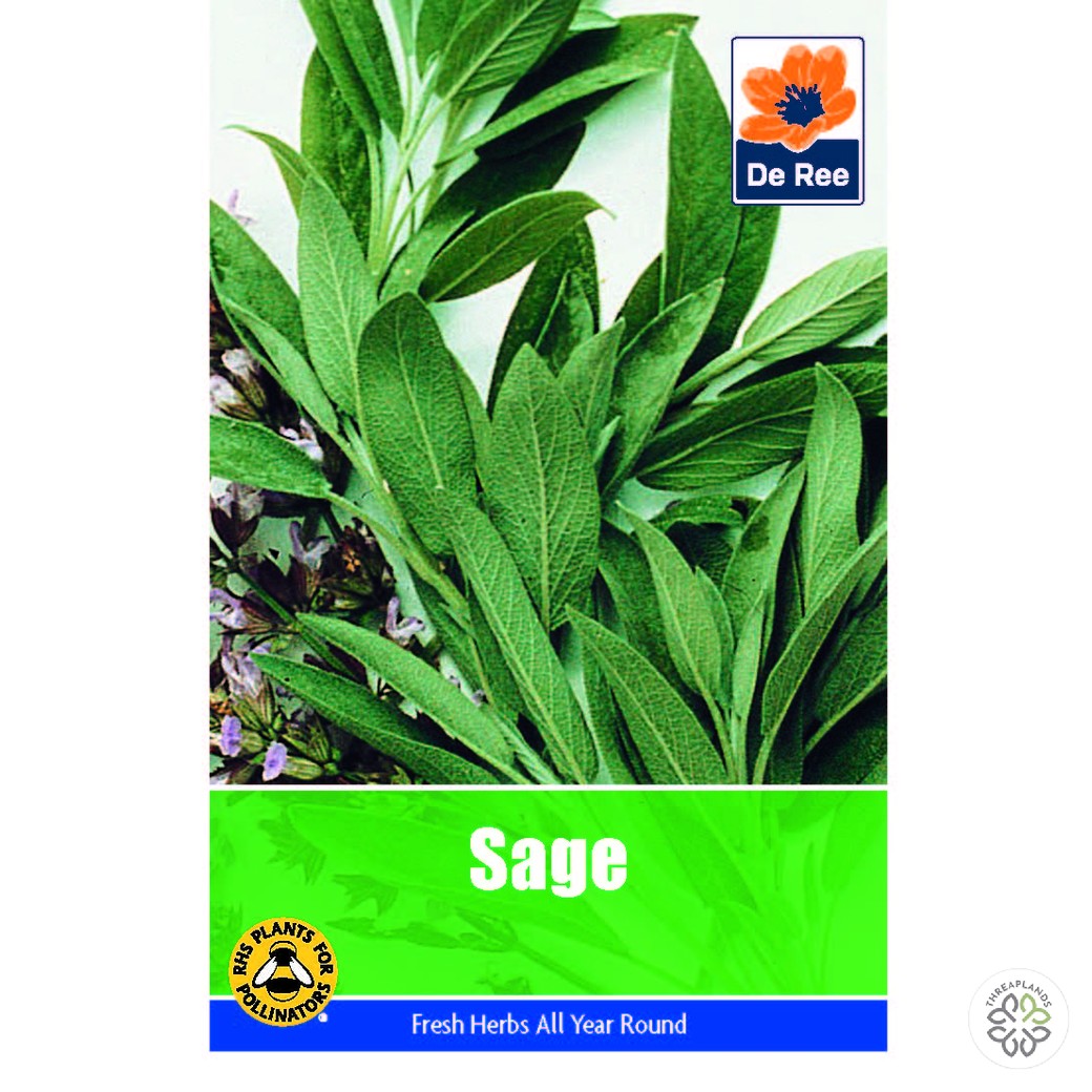 Sage - Threaplands [optimised-1040-watermarked]