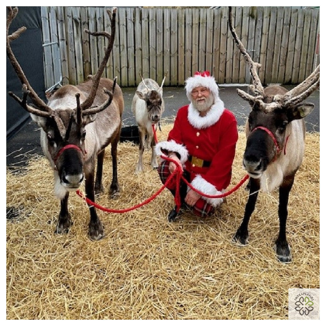 Santa's Reindeer Visit - SOLD OUT [optimised-1040-watermarked]