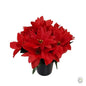 Small Grave Pot - Red Artificial Poinsettias [optimised-1040-watermarked]