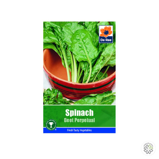 Spinach Beet Perpetual - Threaplands [optimised-1040-watermarked]
