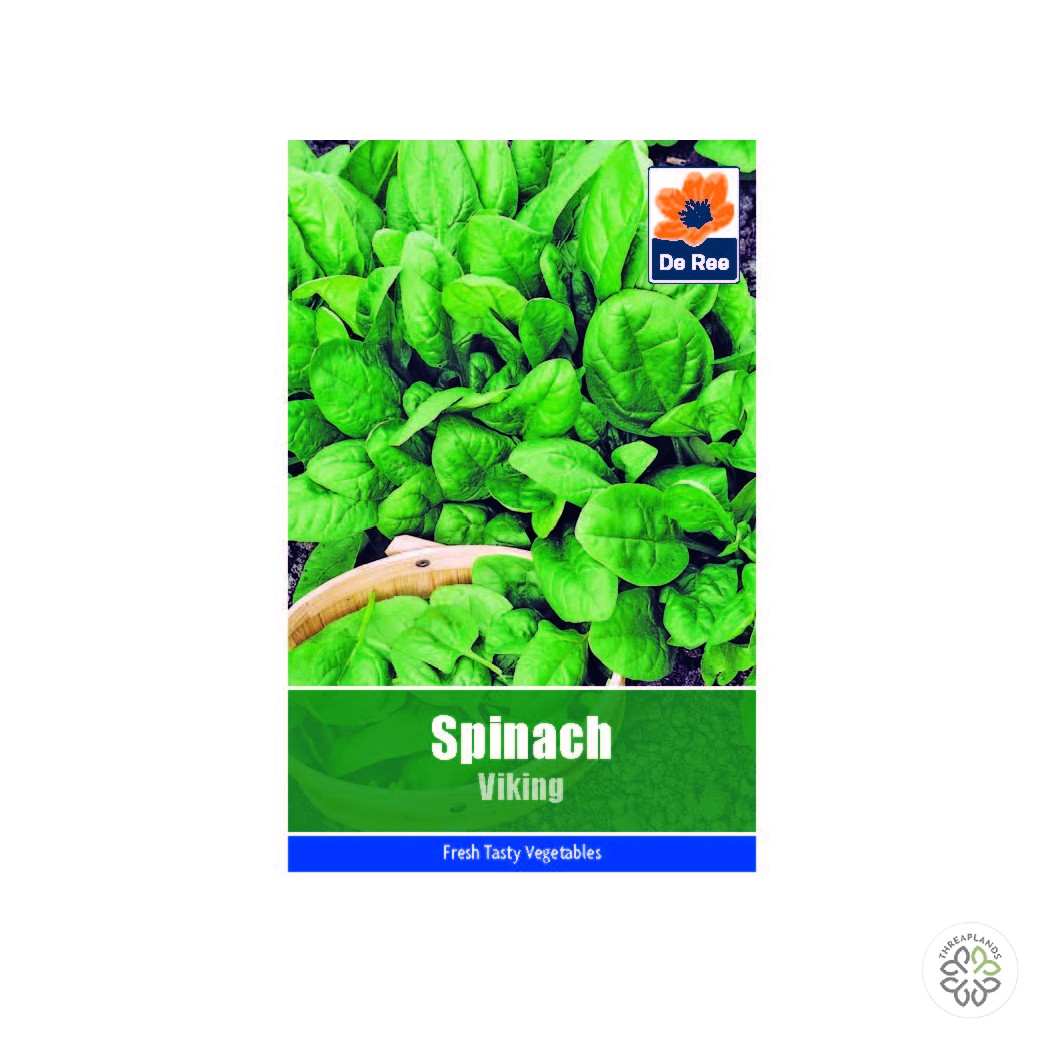 Spinach Viking - Threaplands [optimised-1040-watermarked]