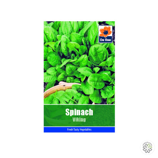 Spinach Viking - Threaplands [optimised-1040-watermarked]