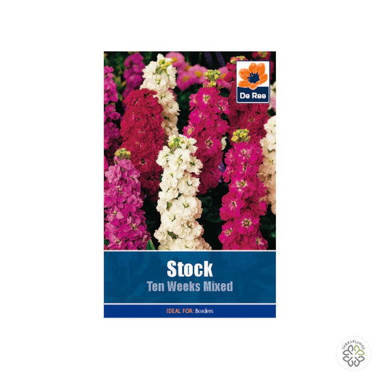 Stock Ten Weeks - Threaplands [optimised-1040-watermarked]