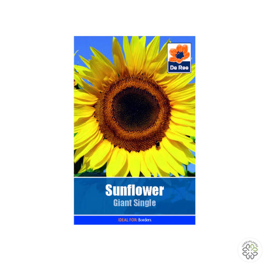 Sunflower Giant Single - Threaplands [optimised-1040-watermarked]