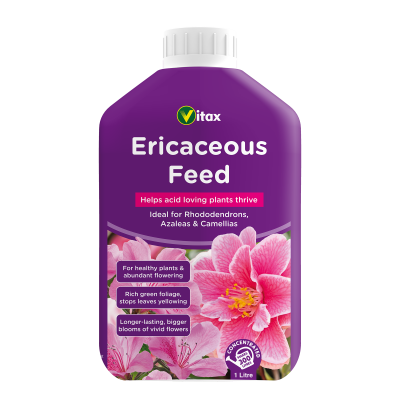 Ericaceous Feed 1L