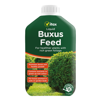 Buxus Feed Liquid 1L