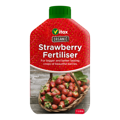Organic Strawberry Feed 1L
