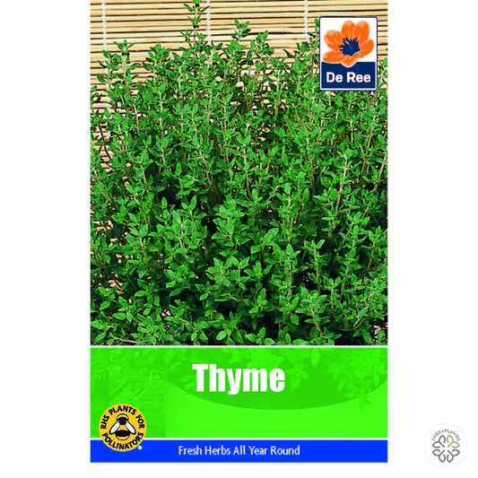 Thyme - Threaplands [optimised-1040-watermarked]