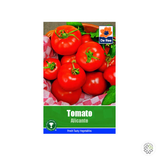 Tomato Alicante - Threaplands [optimised-1040-watermarked]