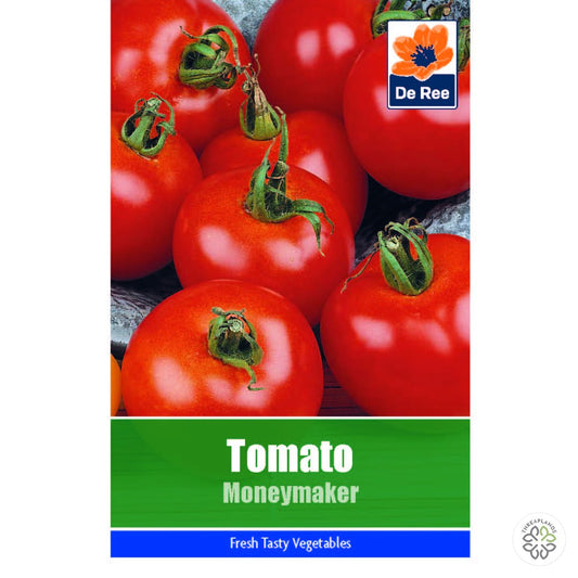 Tomato Moneymaker - Threaplands [optimised-1040-watermarked]