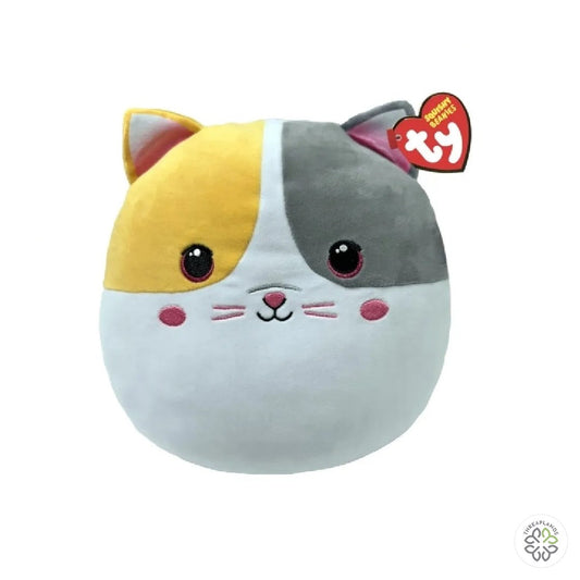 Ty Squishy Beanies - Snuggles - 10" - Threaplands [optimised-1040-watermarked]