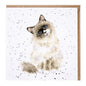 Wrendale Card- Paws for Thought