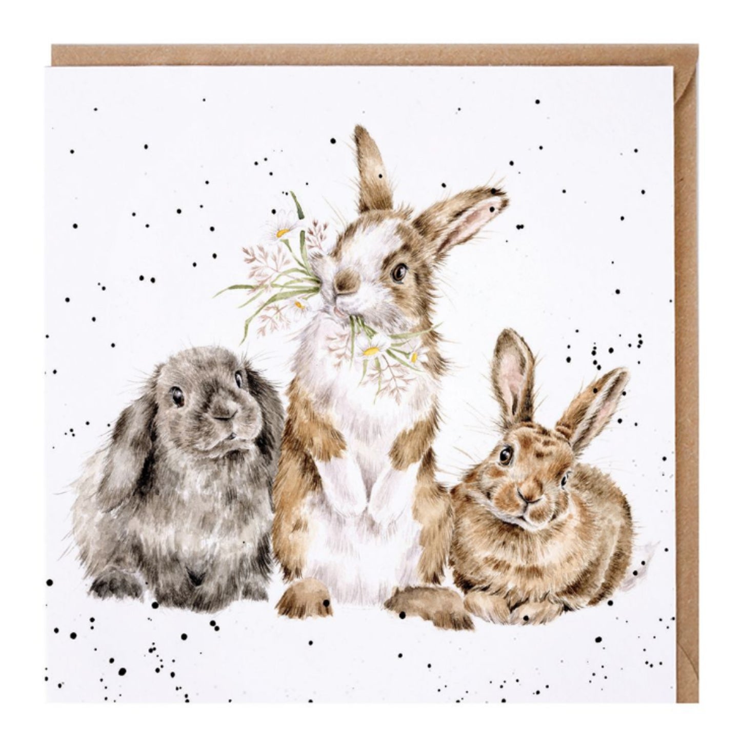 Wrendale Card- All Ears