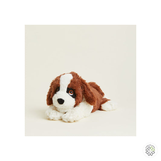 Warmies  Plush St Bernards Microwavable [optimised-1040-watermarked]